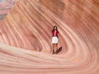 The Wave