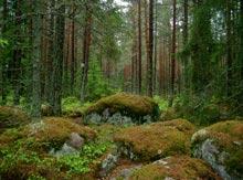 Lahemaa Nationalpark