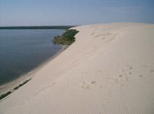 Kurische Nehrung - 50m hohe Parnidis-Düne