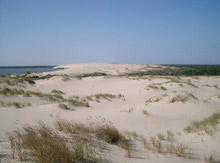 Kurische Nehrung