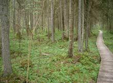 Sliteres - Naturpfad