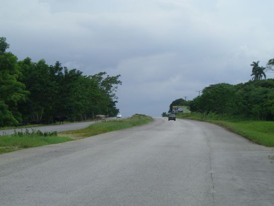 Die (fast) leere Autobahn mit Kuehen auf der links hinten