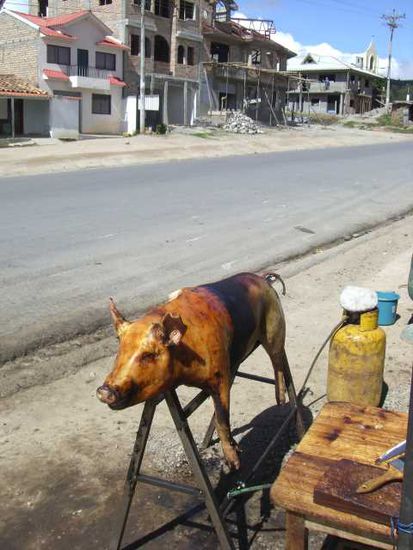 Ein komplettes Schwein am Straßenrand.