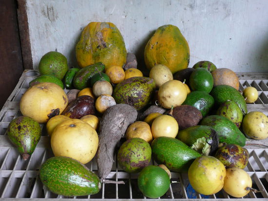 Alles eigene Ernte!!!