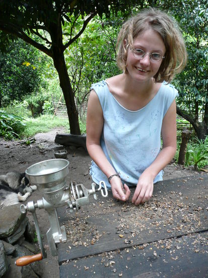 Beim Kaffeebohnen picken.