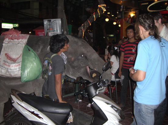 Elefant. Fuer einige Thais eine Moeglichkeit Geld zu verdienen. Die Touris fuettern, zahlen dafuer und die Tiere muessen dafuer die schmutzige Stadt ertragen. Waehren wohl lieber wieder im Dschungel.