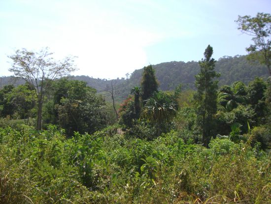 Auf dem Weg zur Hoehle...