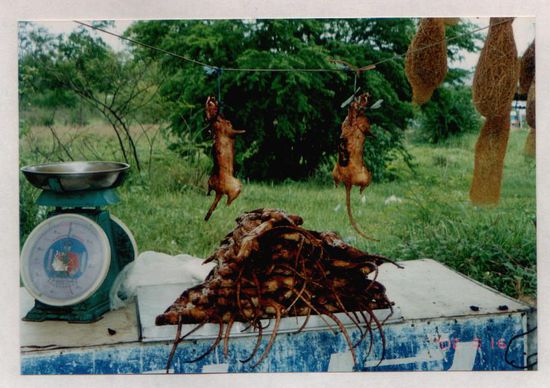 Kleiner Imbiss an der Autobahn Richtung Chiang Mai