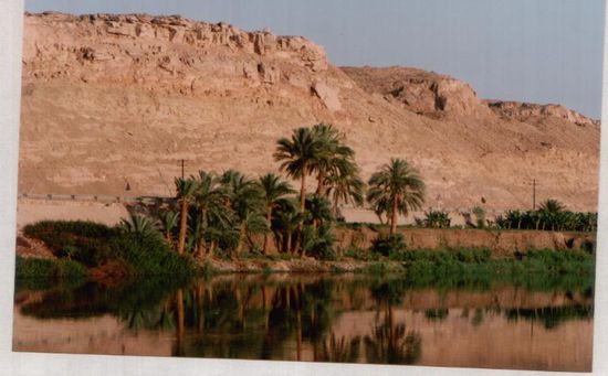 Nilufer auf der Rückfahrt nach Luxor