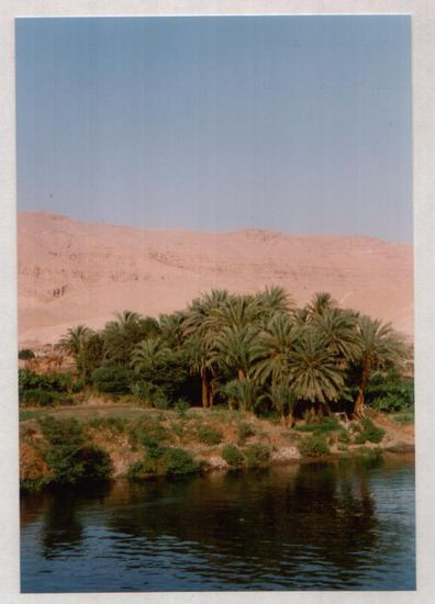 Nilufer auf der Rückfahrt nach Luxor