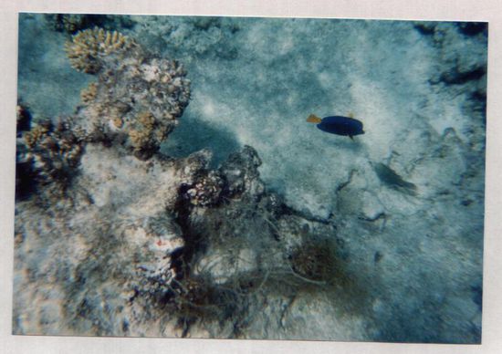 Mit meiner Unterwasserkamera aufgenommen