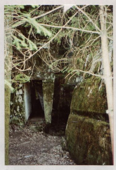 Bunker " Wolfsschanze "