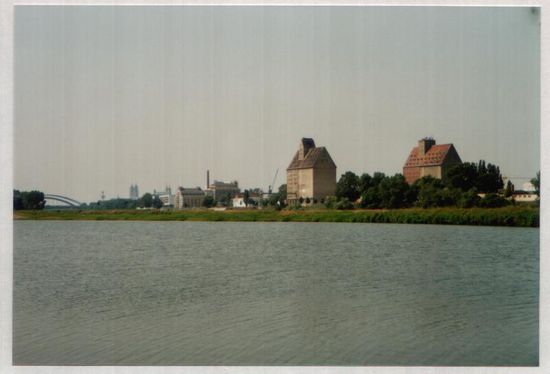 Elbe in Magdeburg