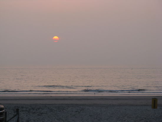 Unser letzter Abend in Holland