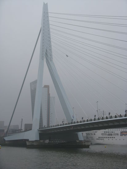 Erasmusbrücke