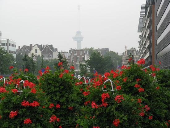 Im Nebligen Hintergrund der 185 m hohe
Euromast von wo aus man über ganz Rotterdam schauen kann.