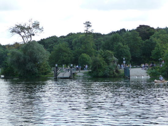 Anlegestelle gegenüber der Pfaueninsel
