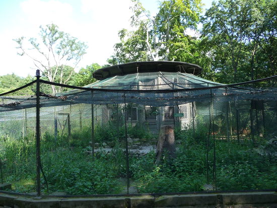 Die Vogel Voliere von 1824 zählt zu den
letzten orginal erhaltenen Ihrer Art in
Europa