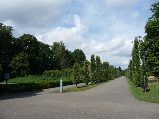 Allee im Neuen Garten
