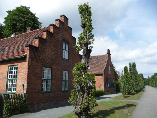 Allee im Neuen Garten