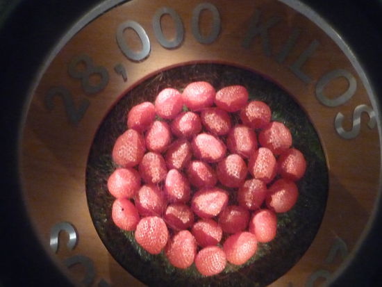 Traditionell gehören beim Publikum in Wimbledon Erdbeeren und Sahne dazu