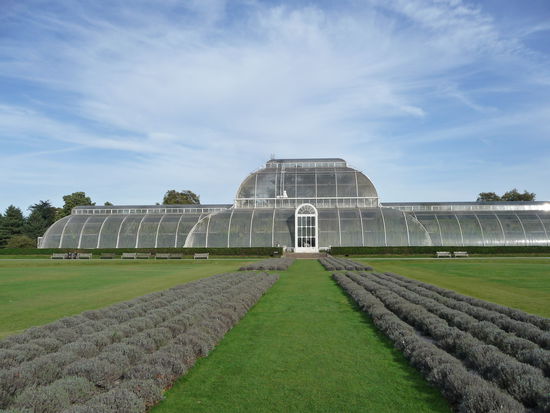 Das Palm House wurde 1841 bis 1849 errichtet und ist das älteste noch exestierende viktorianische Gewächshaus.Seit 2003 gehört es zum Unesco Weltkulturerbe