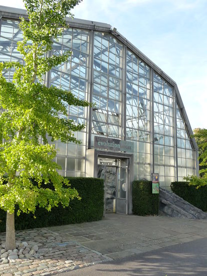 Im Evolution House wird die Evolution unseres Planeten dargestellt