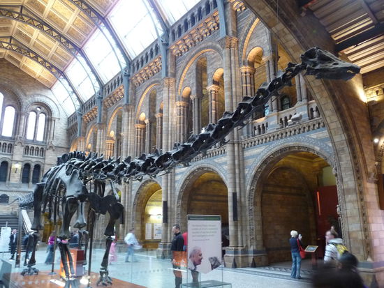 Dinosaurierskelett in der Haupthalle