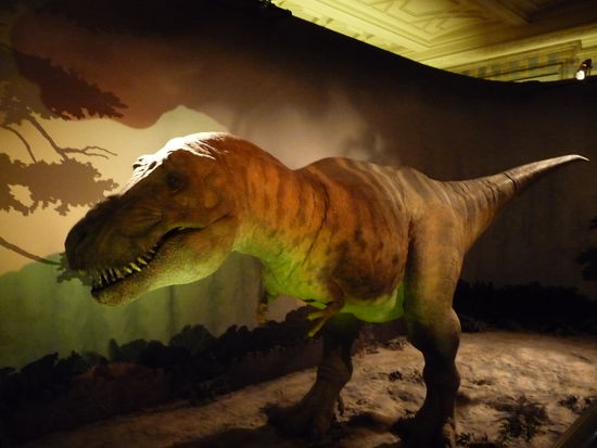 Diese Modell war ständig am brüllen und bewegte sich hin und her