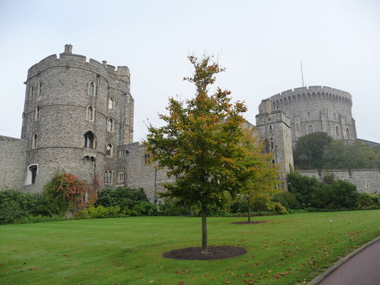 Rechts im Hintergrund der Runde Turm von Windsor