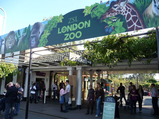 Nach langen Fußweg habe ich endlich den Eingang erreicht