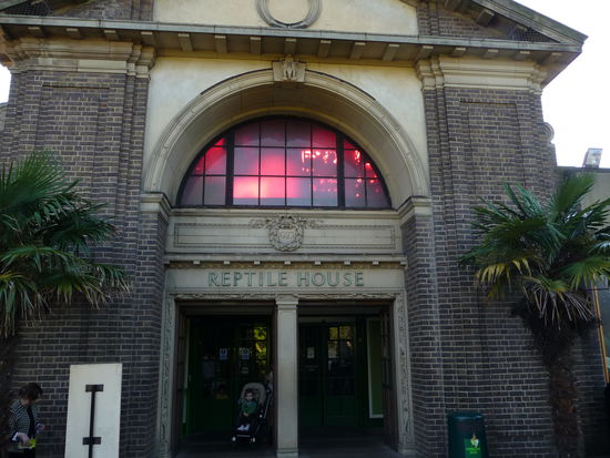 Das Reptilien Haus wurde 1849 erbaut und ist das älteste der Welt