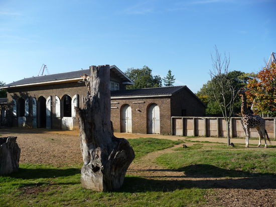 Giraffenhaus erbaut 1837