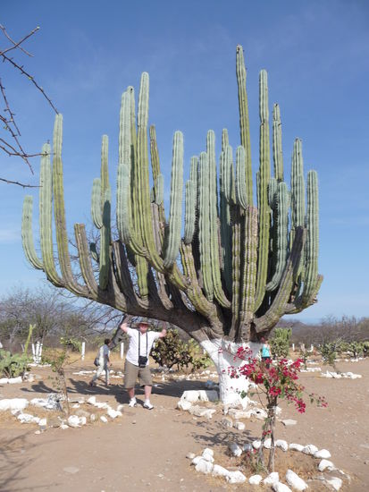 Ich bin ganz schön stark um diesen Burschen zu stemmen