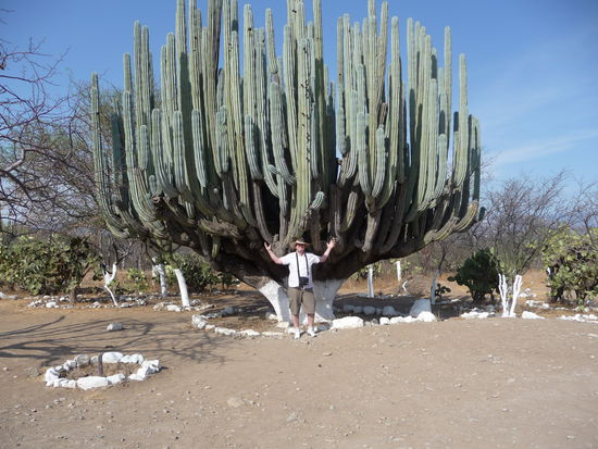 Und auch hier bin ich