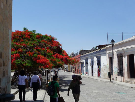 Altstadt Oaxaca
