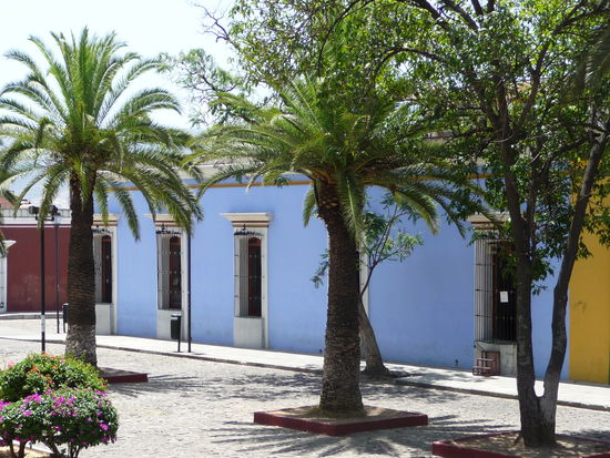 Altstadt Oaxaca