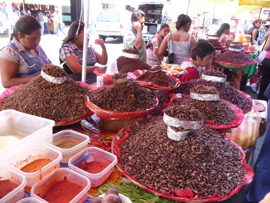 Hier im Angebot geröstete Heuschrecken die ich auch probiert habe