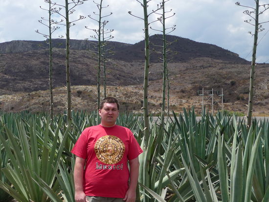 Da bin ich wieder vor den Bergen bei Mitla