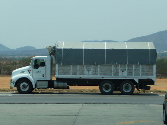 Kurzer Halt an der Tankstelle