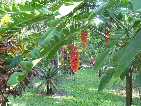 Schöne Blüten im Eingangsbereich