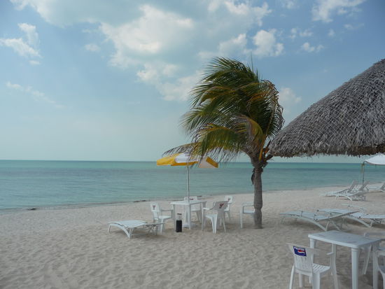 Der Golf von Mexico lockt zum baden.Wir haben 34 Grad im Schatten