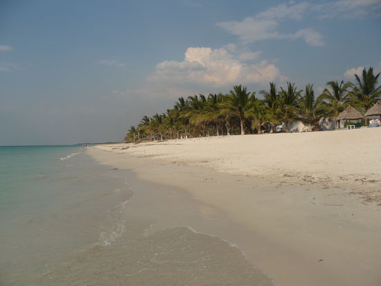 Der Strand am Golf von Mexico