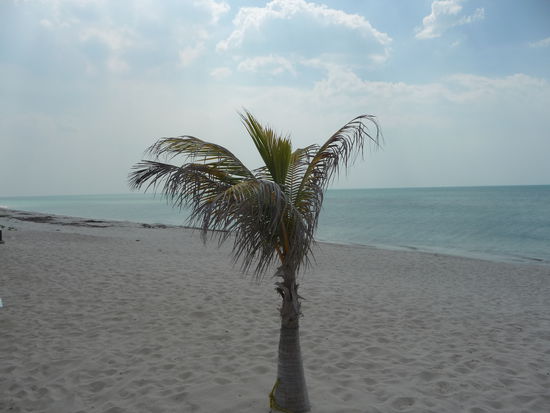 Golf von Mexico ca. 60 Km vor Campeche