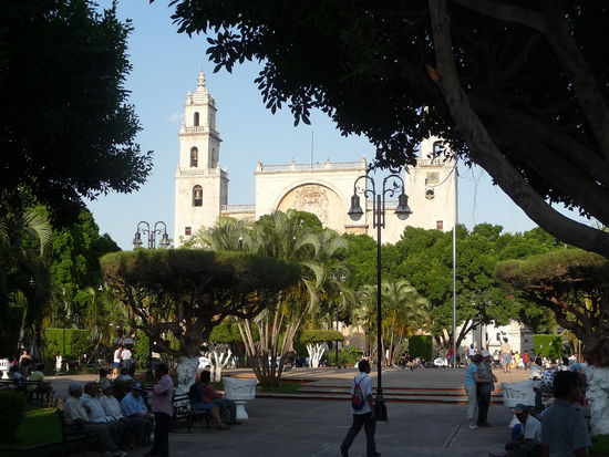 Zocalo mit Kathedrale