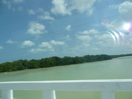 Blick auf die Bucht von Celestun