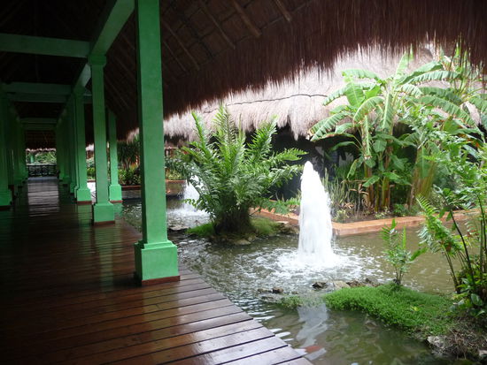 Auf Stegen geht es durch die Parklandschaft des Hotels