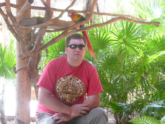 Papagei oben und unten ein anderer Dicker Vogel auch in roten Kleid