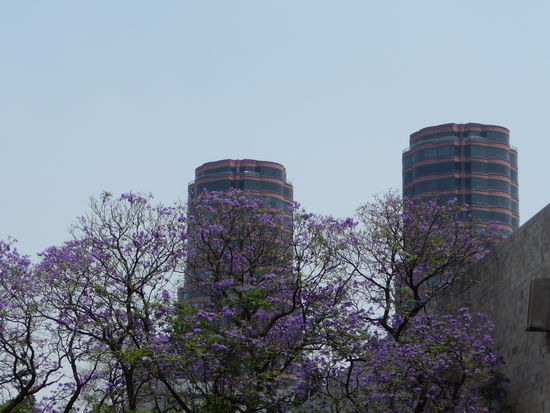 Gebäude am Antropolog.Museum