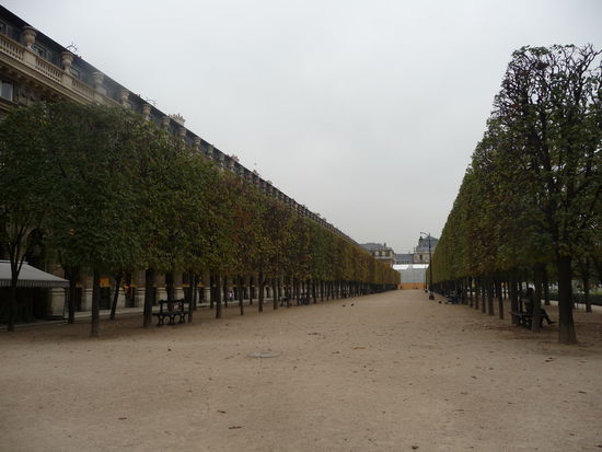 Baumreihen im Palais Royal